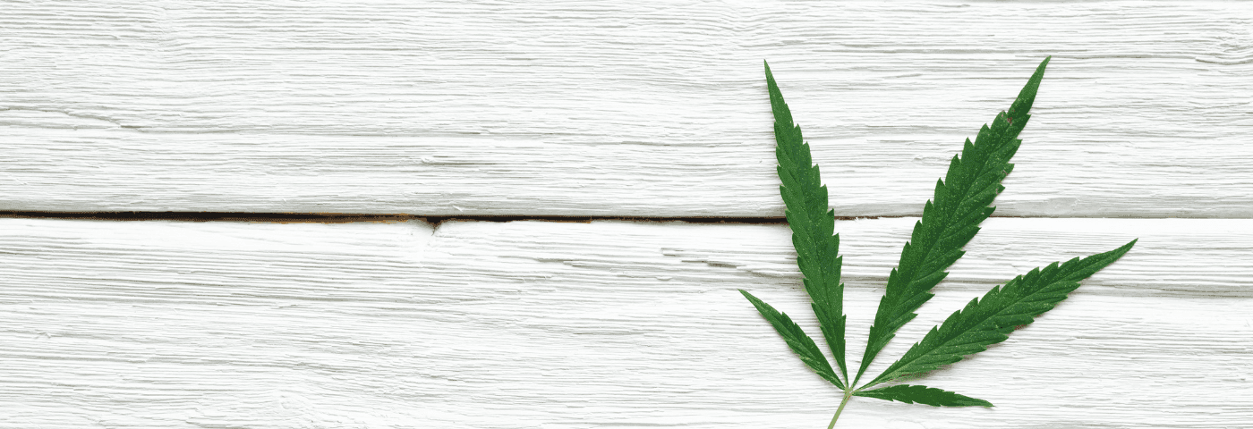 Cannabis Blatt auf weißem Holztisch